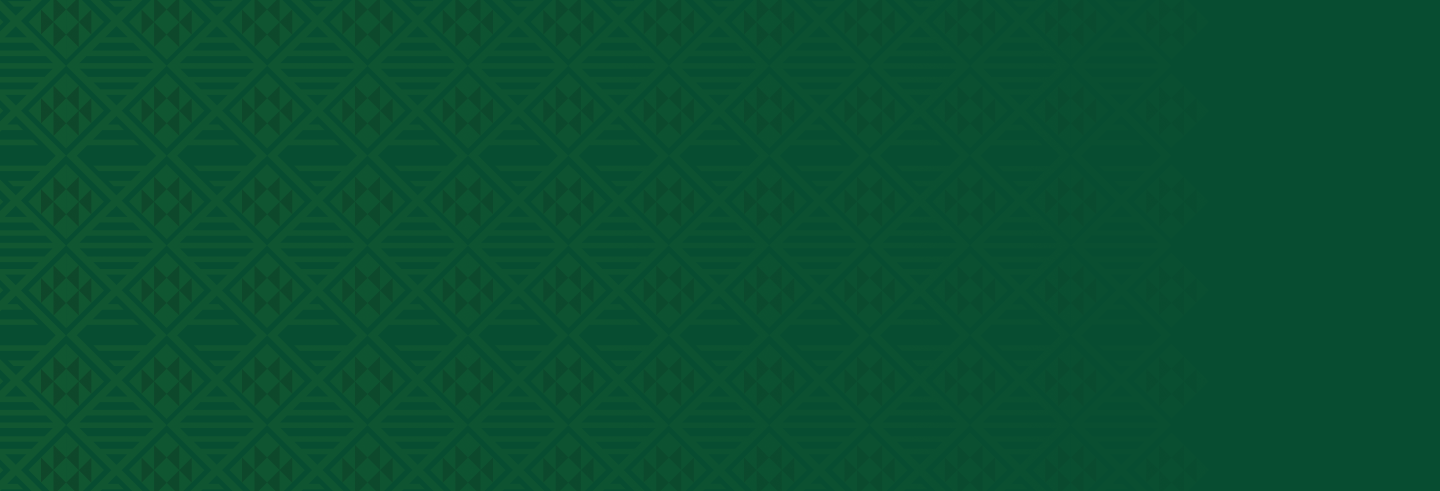 رؤية السعودية